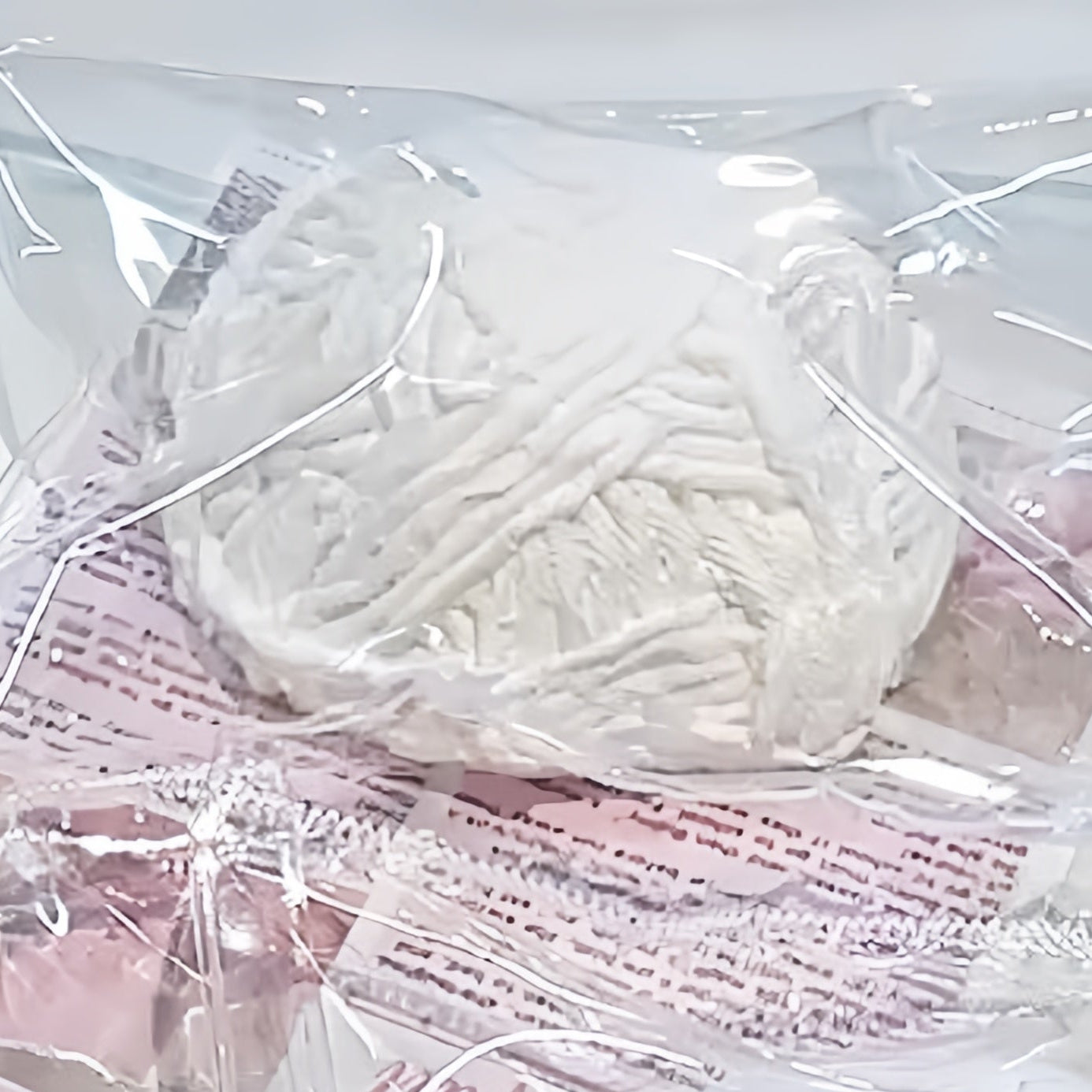 White Chocolate Cream Squishy