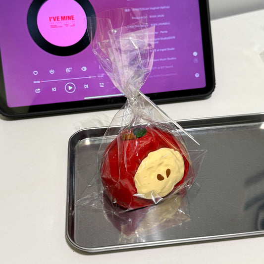 Christmas Rice Ball Squishy