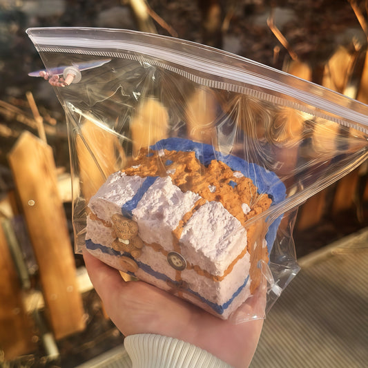 Plaid Bear Toast Squishy