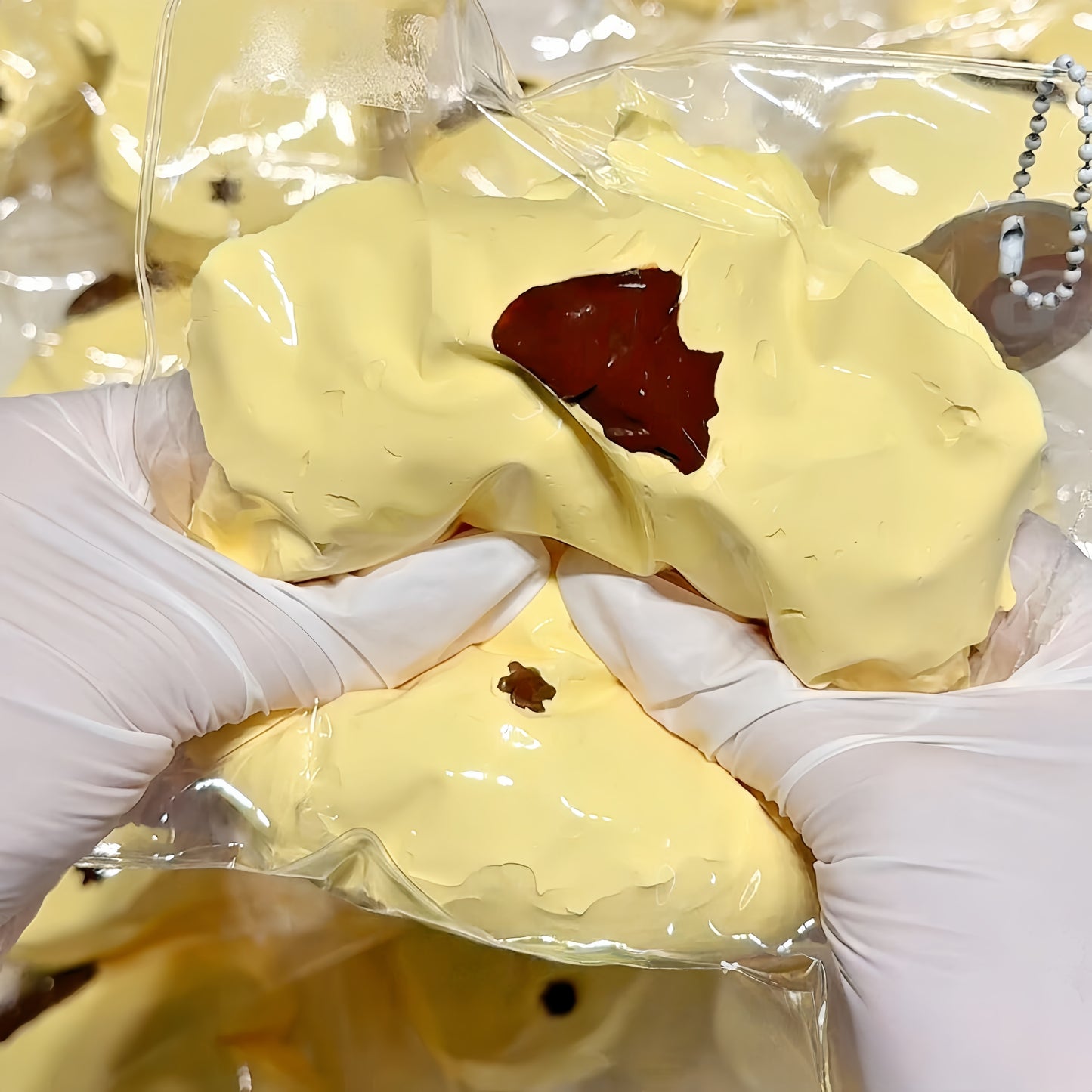 Pudding Dog Baguette Squishy