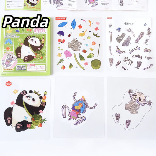 Anatomical Reconstruction 3D Sticker | 2 Cute Miniature Scenes