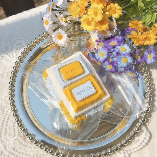 Orange Twin-Pack Biscuits Squishy