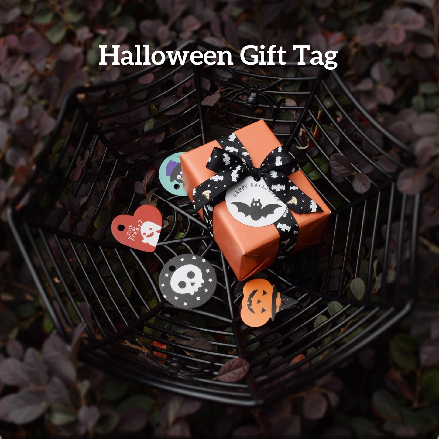 Halloween Gift Bundle