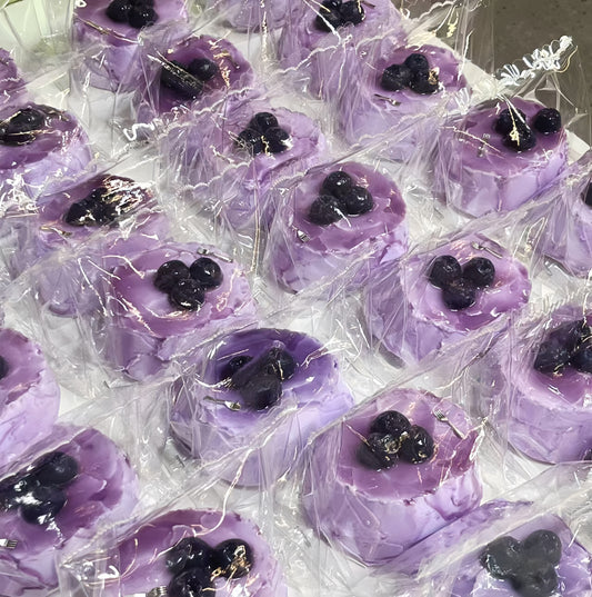 Blueberry Series Squishy