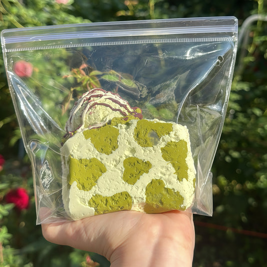 Matcha Toast Squishy