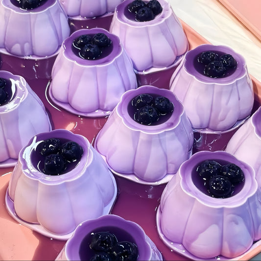 Blueberry Series Squishy