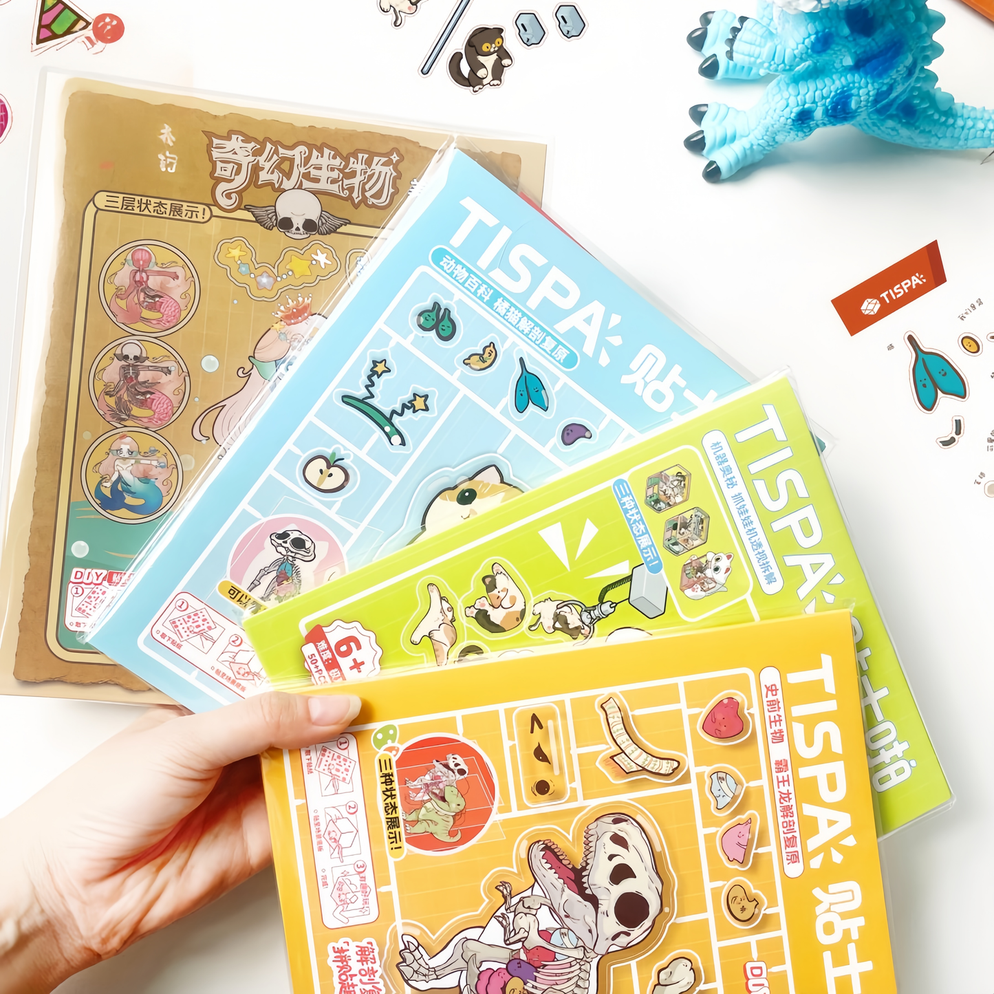 Cute Animal Anatomy 3D Sticker | 4 Cute Miniature Scenes