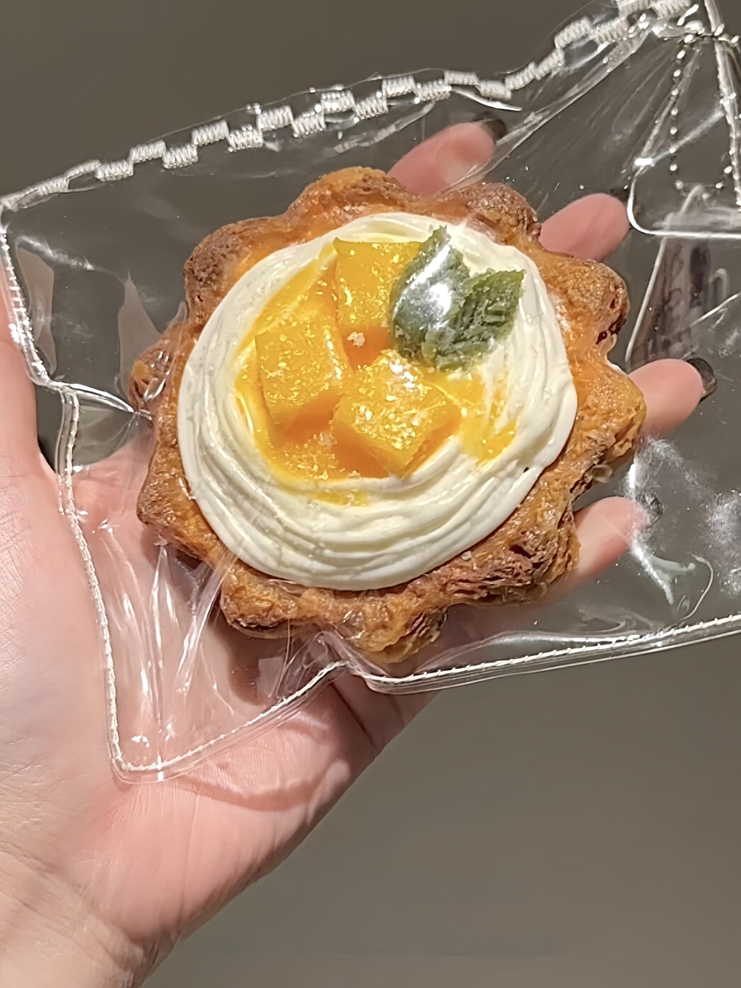 Fruit Pastry Tart Squishy