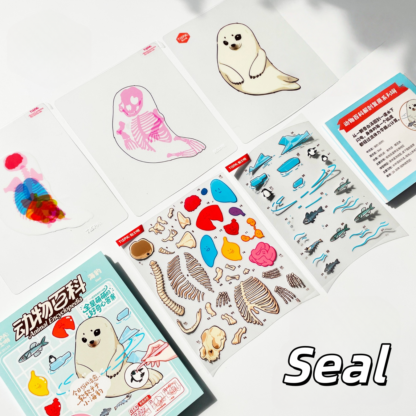 Anatomical Restoration 3D Sticker | 4 Cute Miniature Scenes