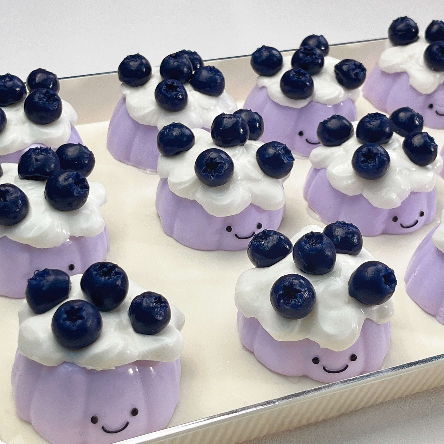 Blueberry Series Squishy