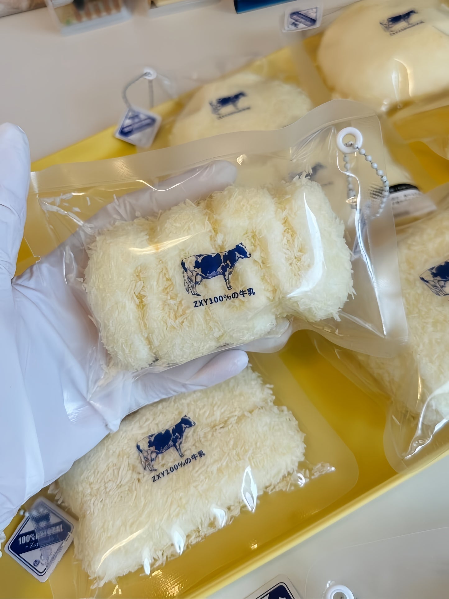 Deep-Fried Coconut Milk Squishy