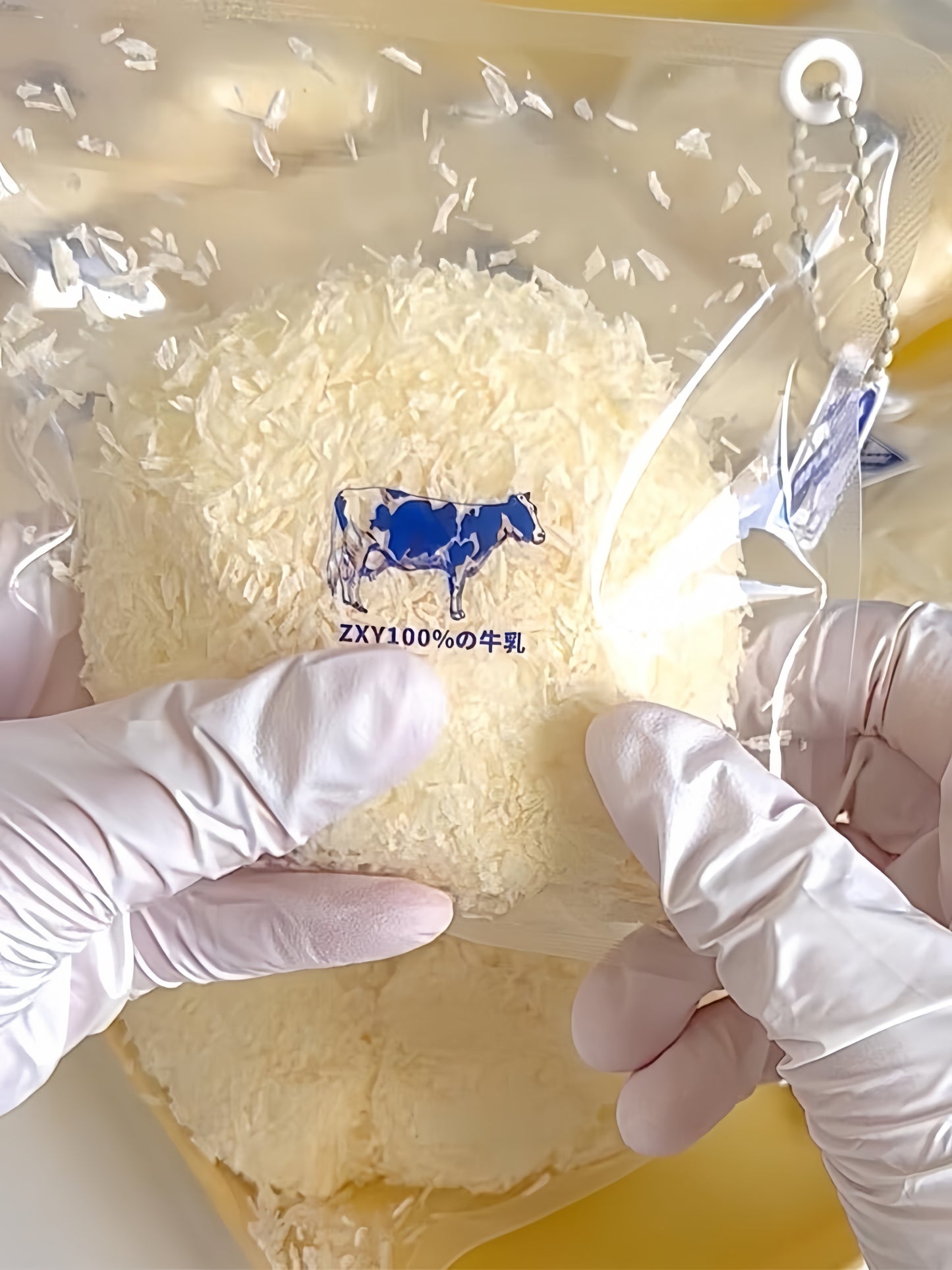 Deep-Fried Coconut Milk Squishy