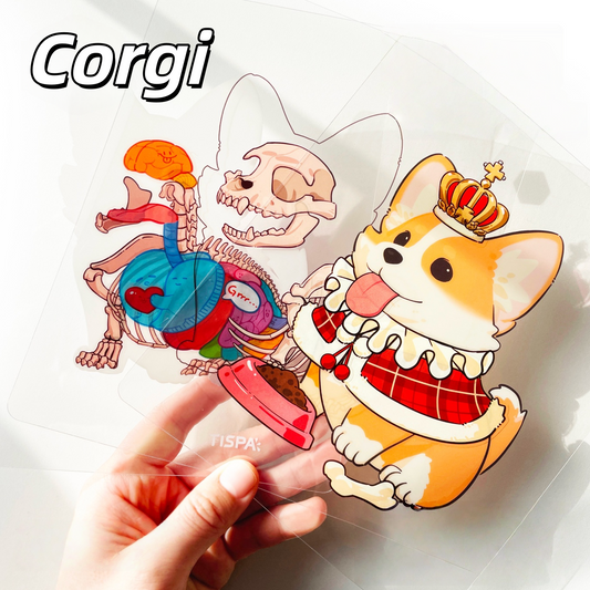 Anatomical Restoration 3D Sticker | 4 Cute Miniature Scenes