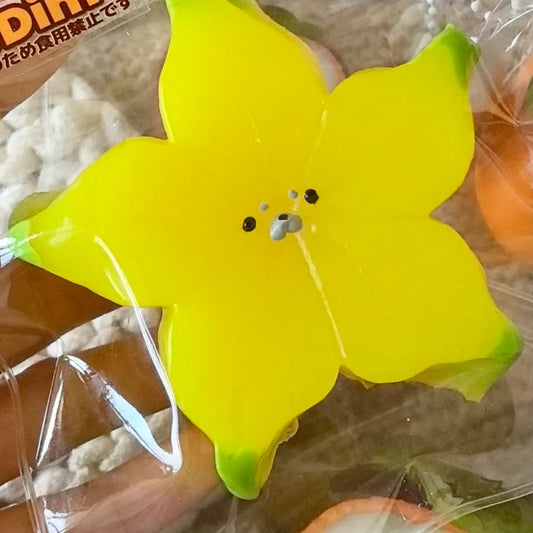 Seal Fruit Squishy