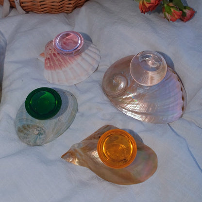 Natural Shell Colorful Glass Base Tray
