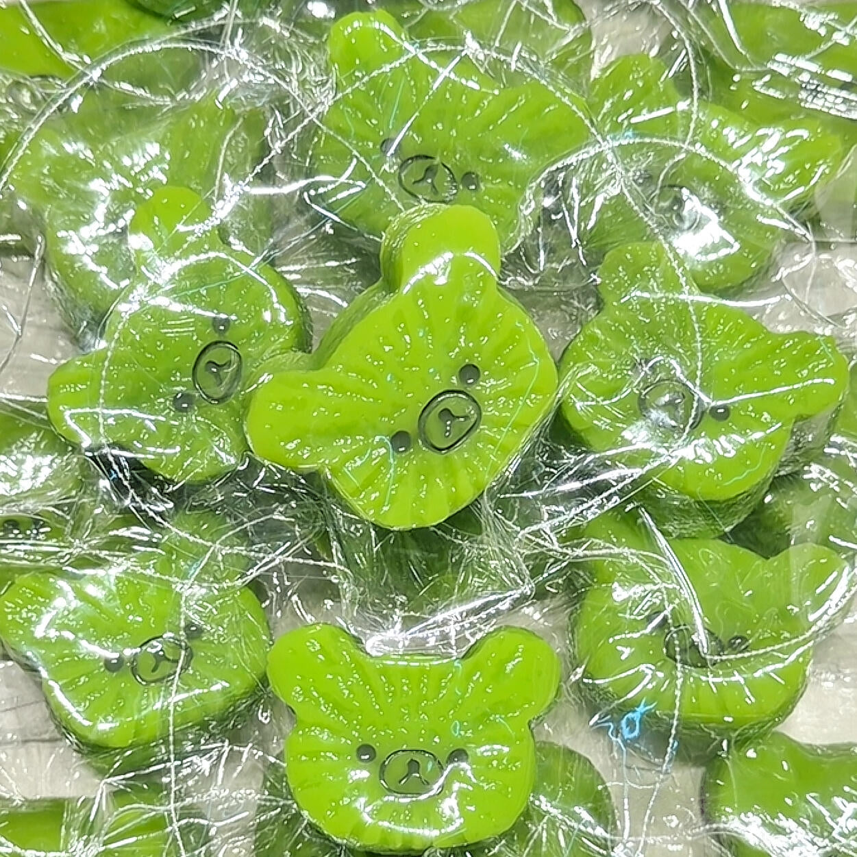 Bear Kiwi Squishy