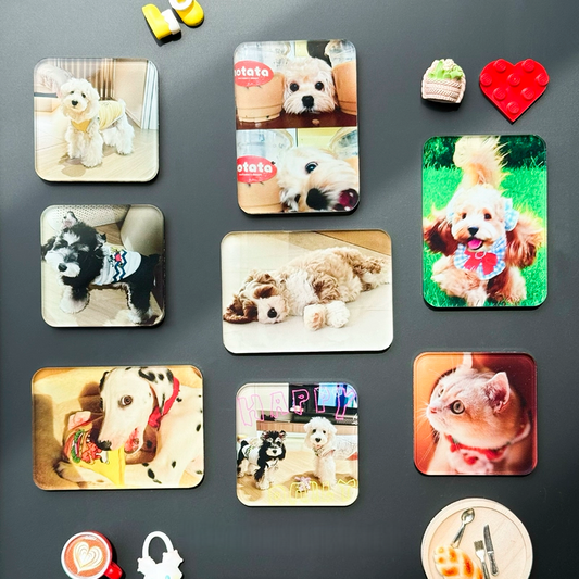 Custom Pet Photo Acrylic Magnetic Fridge Magnet