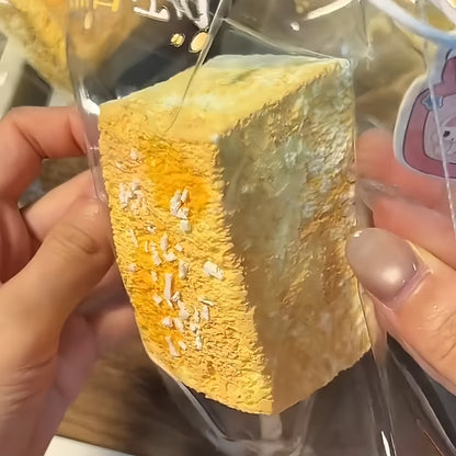 Crunchy Toast Squishy