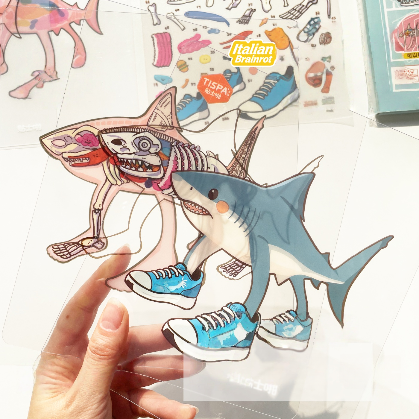 Anatomical Restoration 3D Sticker | 2 Cute Miniature Scenes