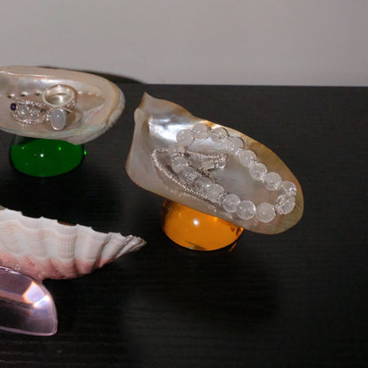 Natural Shell Colorful Glass Base Tray