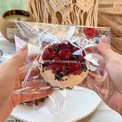 Black Forest Cherry Chocolate Cake Squishy