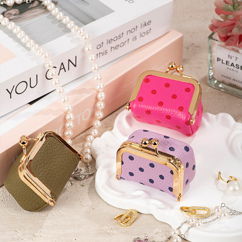 Mini Polka Dot Mini Jewelry Case