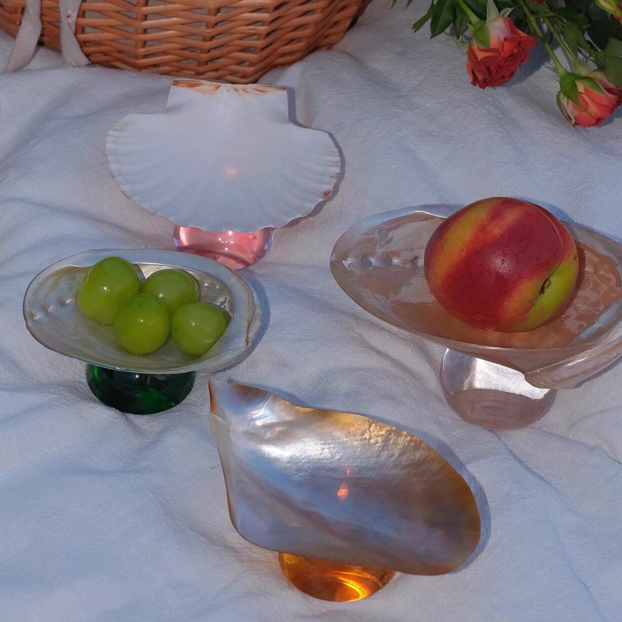 Natural Shell Colorful Glass Base Tray