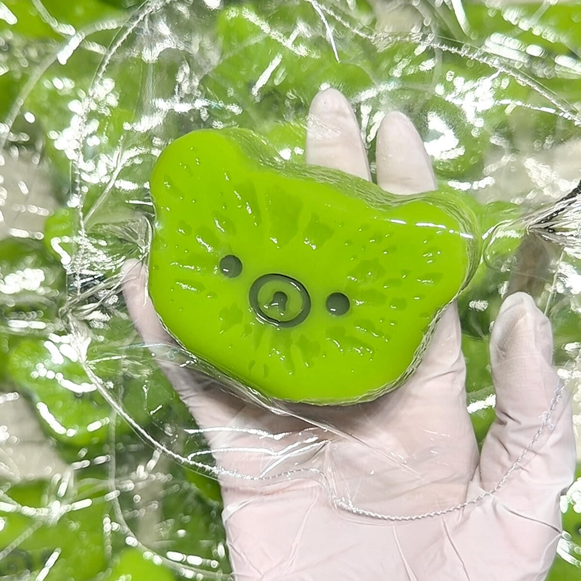Bear Kiwi Squishy