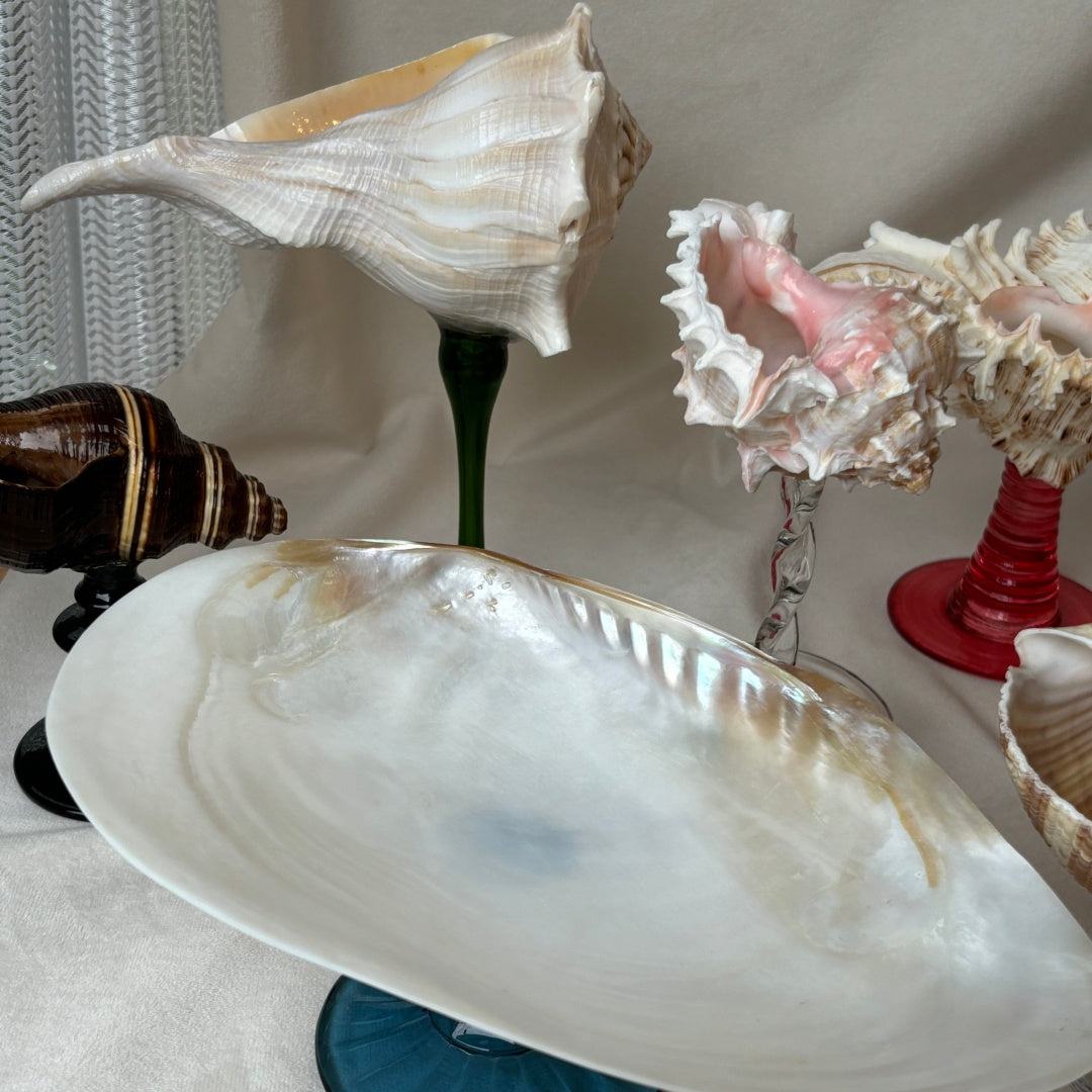 French Style Pearl Shell Plate