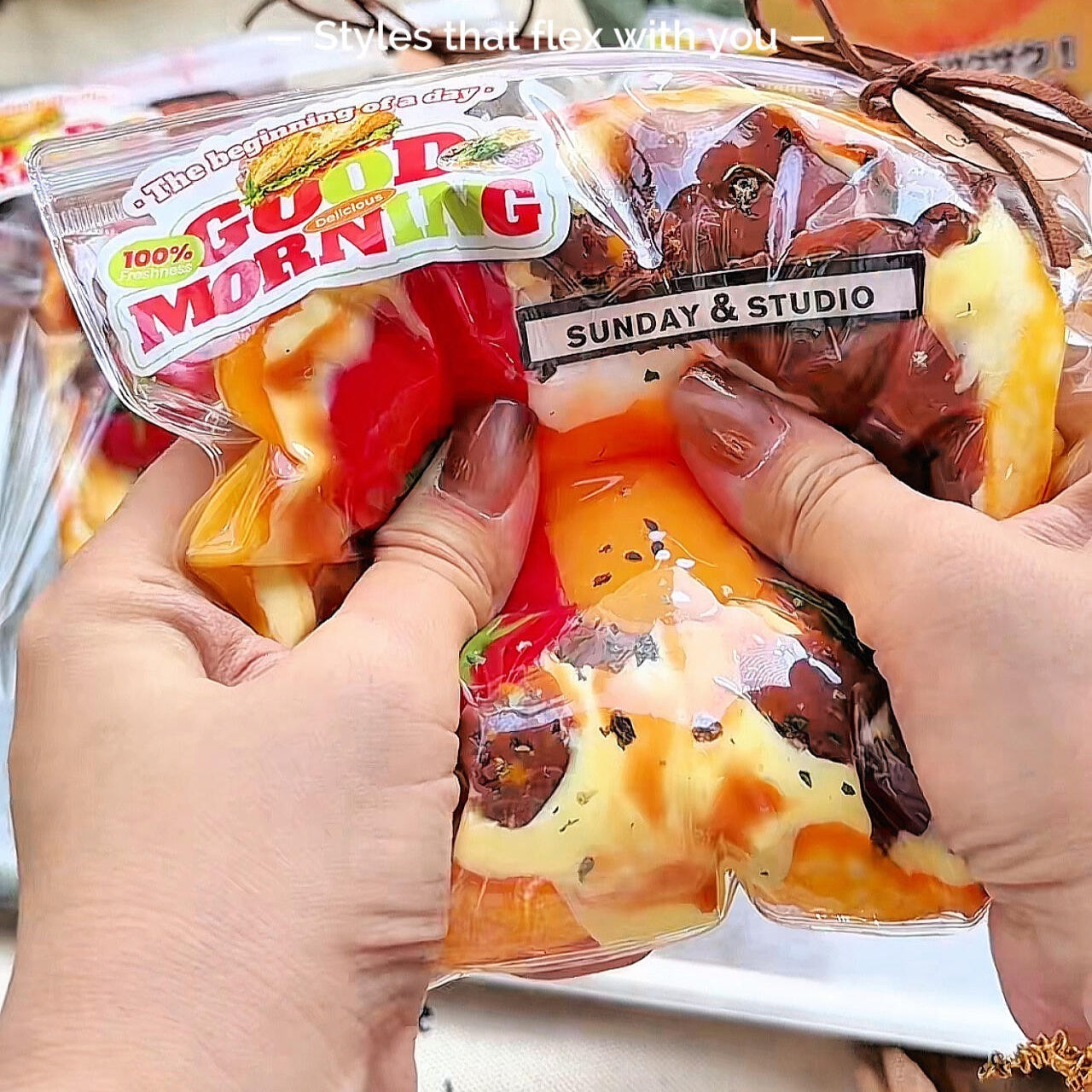 Spicy Tomato Beef Cheese Toast Squishy