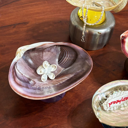 Natural Shell Colorful Glass Base Tray