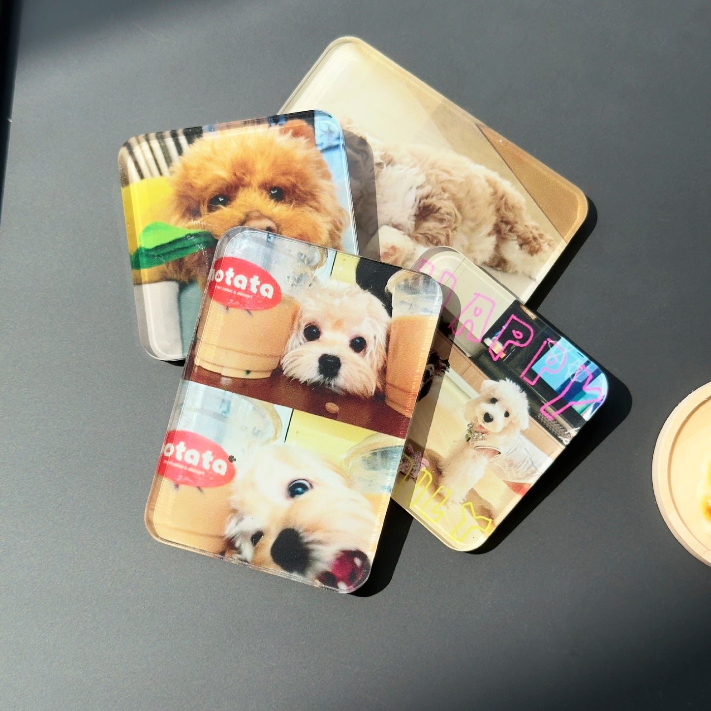 Custom Pet Photo Acrylic Magnetic Fridge Magnet