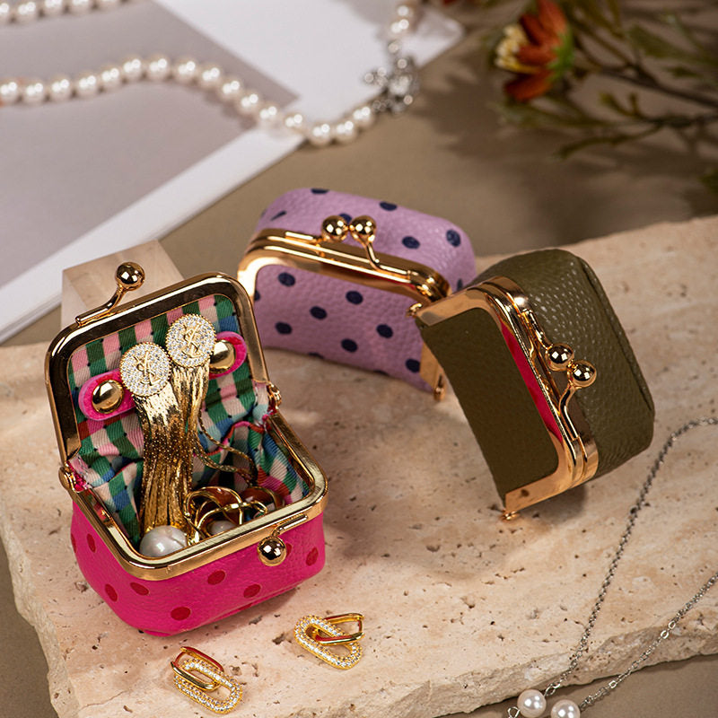 Mini Polka Dot Mini Jewelry Case