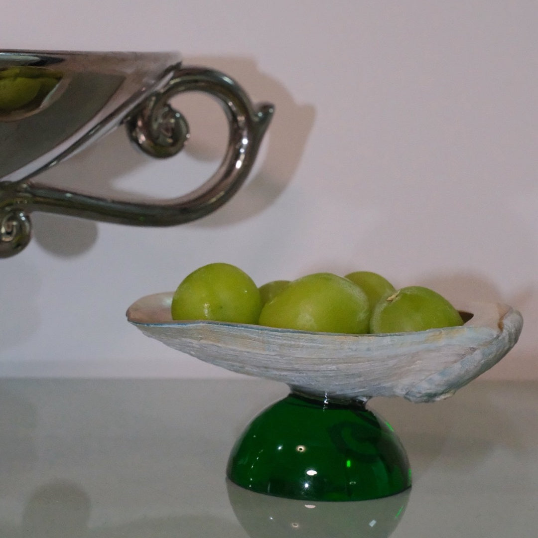 Natural Shell Colorful Glass Base Tray