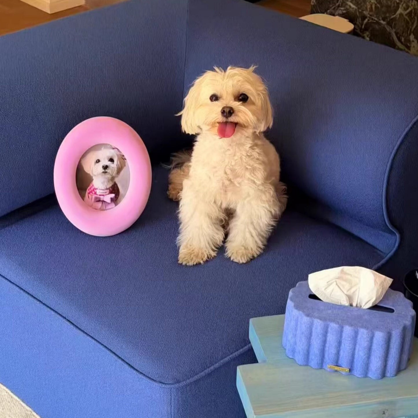 Plush Photo Frame
