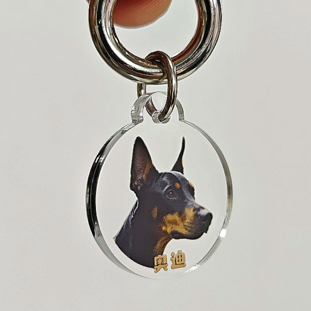 Custom Pet Photo Acrylic Pet Name Tag