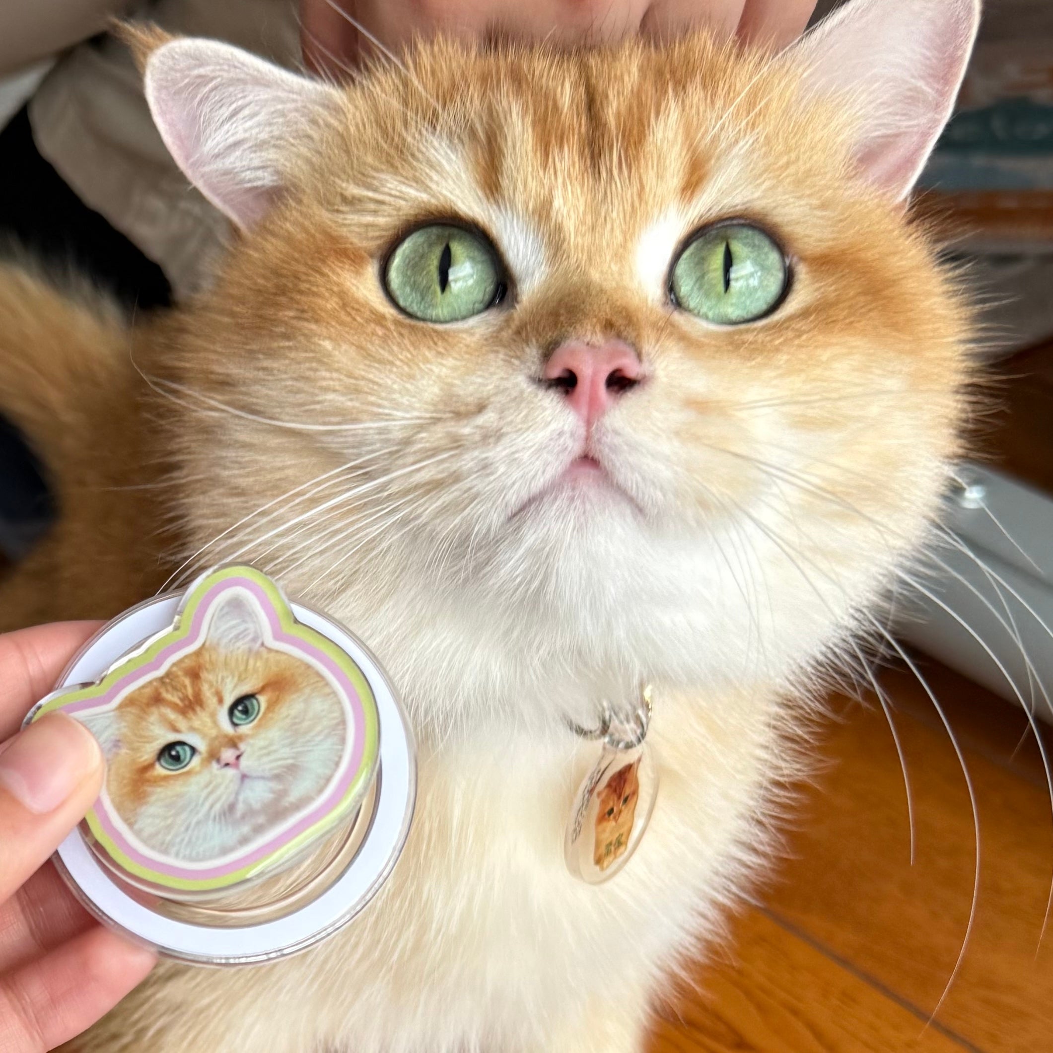 Custom Pet Cuties