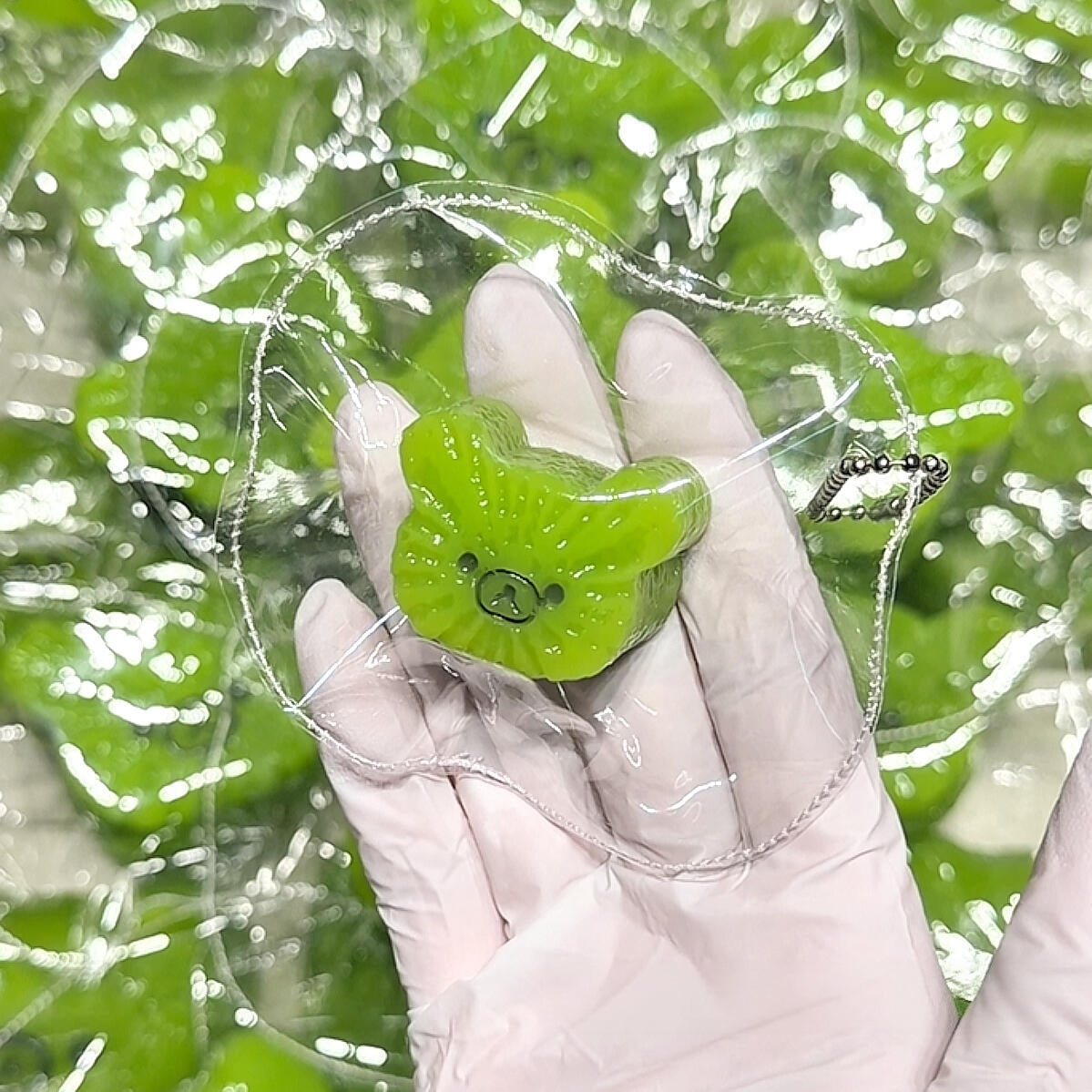 Bear Kiwi Squishy