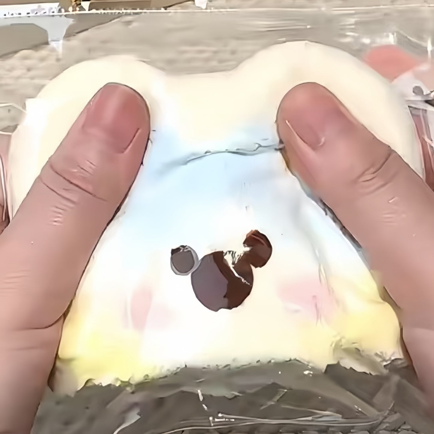 Fluffy West Highland Cake Squishy