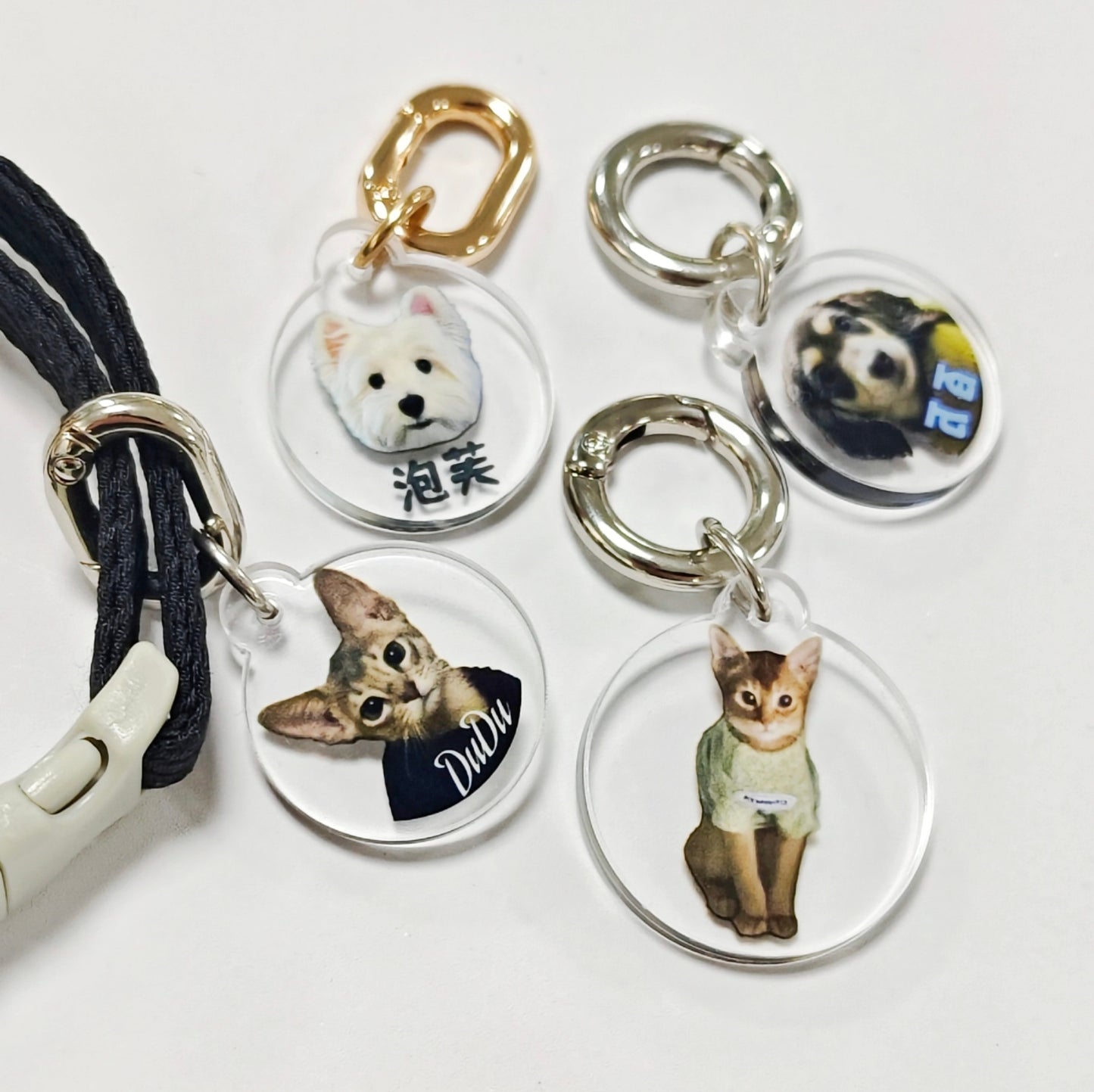 Custom Pet Photo Acrylic Pet Name Tag