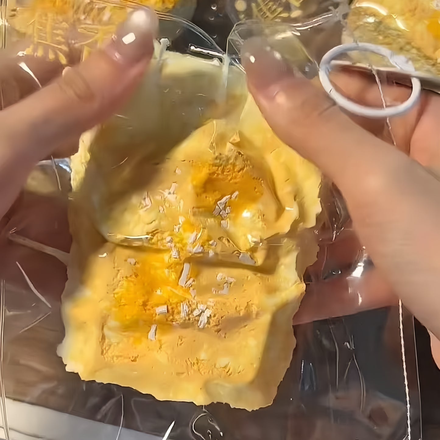 Crunchy Toast Squishy
