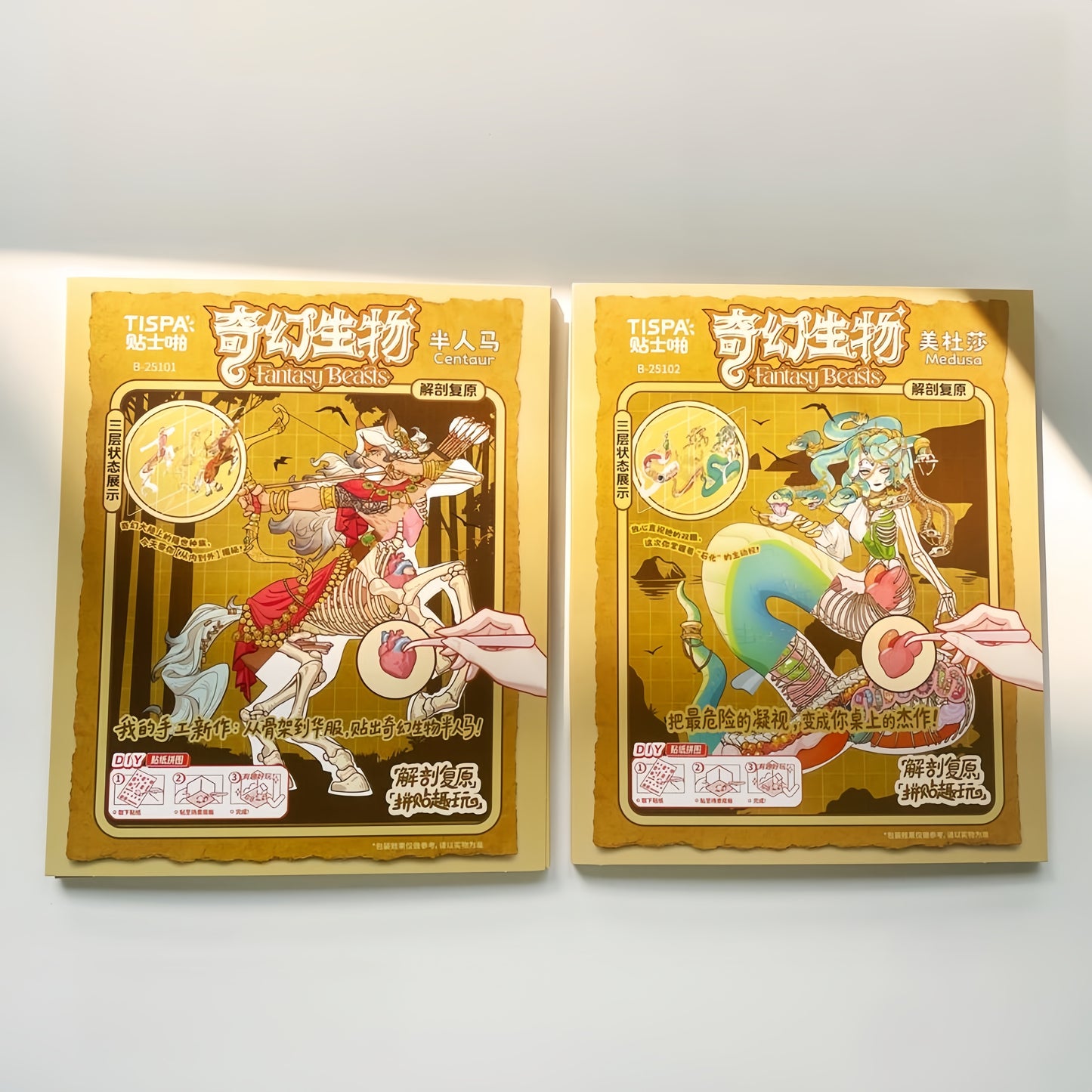 Anatomical Restoration 3D Sticker | 2 Cute Miniature Scenes