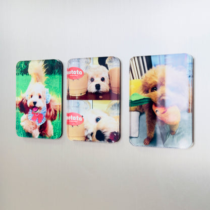 Custom Pet Photo Acrylic Magnetic Fridge Magnet