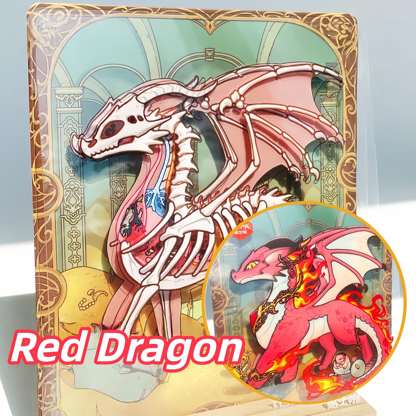 Anatomical Reconstruction 3D Sticker | 4 Cute Miniature Scenes