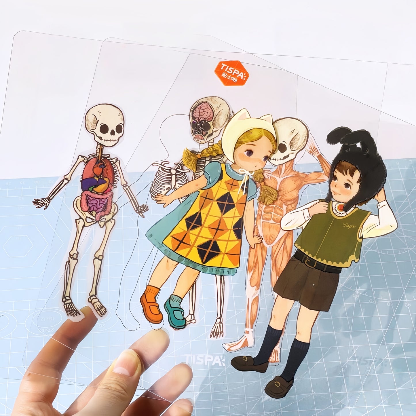 Anatomical Reconstruction 3D Sticker | 2 Cute Miniature Scenes
