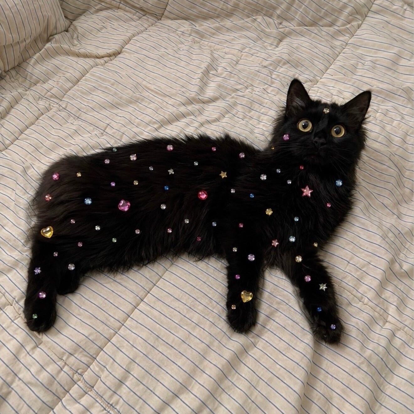 Bedazzling Rhinestone Stickers