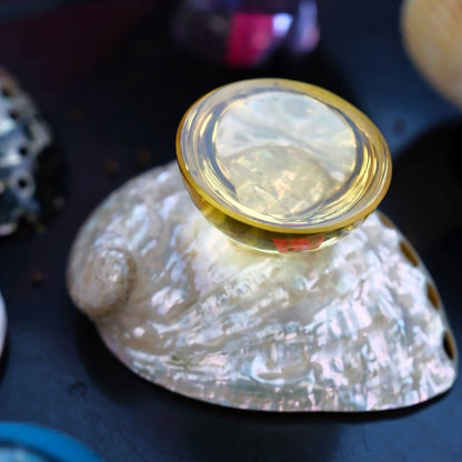 Natural Shell Colorful Glass Base Tray