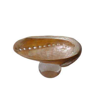 Natural Shell Colorful Glass Base Tray