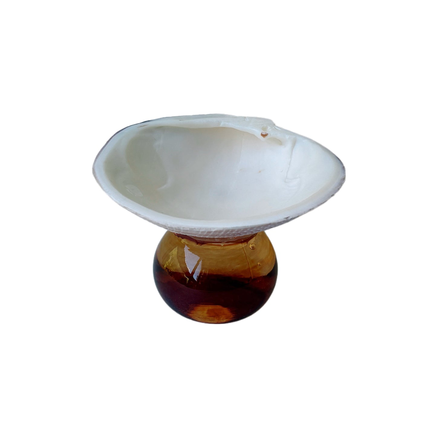 Natural Shell Colorful Glass Base Tray