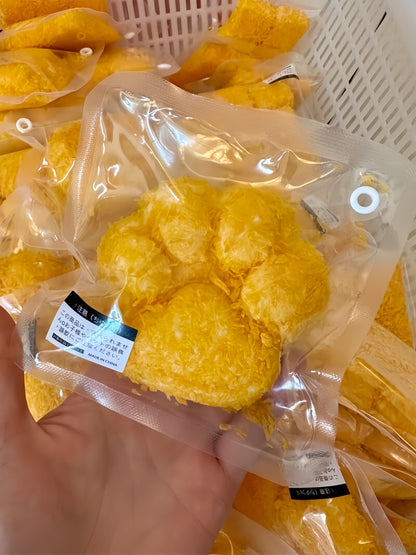 Deep-Fried Milk Squishy